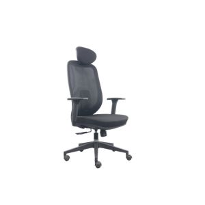 H1165-1260MM Office Ergonomic Chairs With Adjustable Armrest