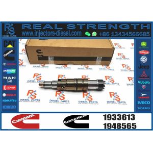 Diesel Common Rail Fuel Injector 1933613 Compatible