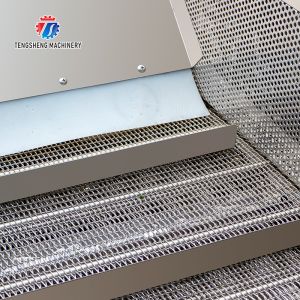 Multifunctional Fruit Washing Machine 3.8KW Vegetable Blanching Equipment