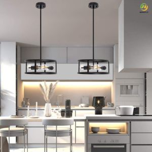Buy cheap Fashionable Atmosphere Modern Pendant Light incandescent Without Bulb from wholesalers