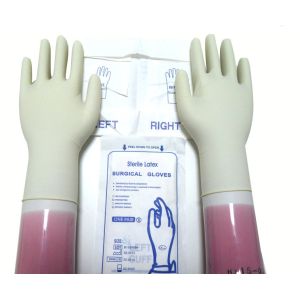 Buy cheap Natural White Sterile Latex Surgical Gloves Left / Right Hand With Rolled Rim from wholesalers