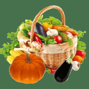 Buy cheap Electric Fruit Vegetable Processing Machine Kitchen OEM ODM  1.75L from wholesalers