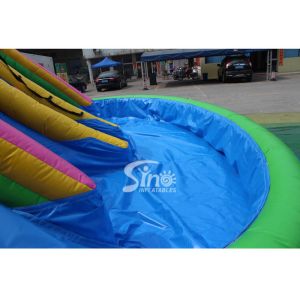 Buy cheap Backyard Rainbow Commercial Inflatable Water Slides with Pool , Double Lane from wholesalers