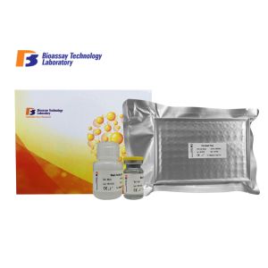 Buy cheap Customized Rat Glial Cell Line-derived Neurotrophic Factor  ELISA Kit GDNF Sandwich Elisa Kit from wholesalers