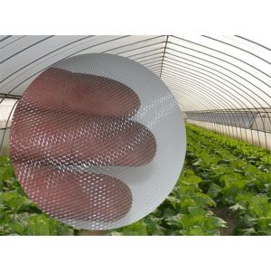 Buy cheap Insect Netting for Vegetable Gardens from wholesalers