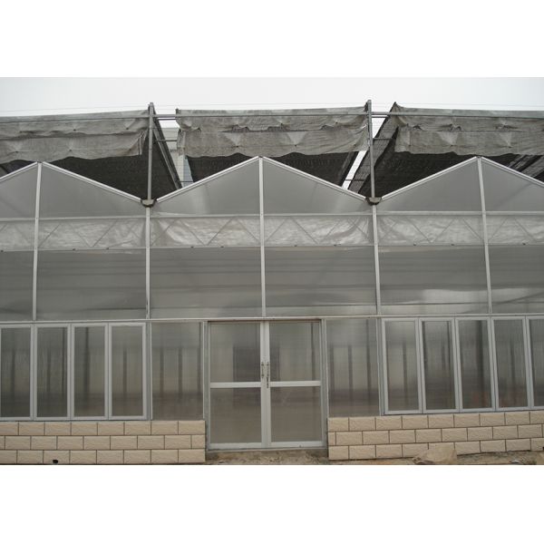 Quality Customized Poly Tunnel Greenhouse Multi Span Agricultural polycarbonate tunnel greenhouse for sale