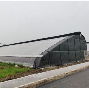 Buy cheap Steel Plastic Double Arch Beam Design Greenhouse For Vegetables from wholesalers