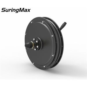 1000 Watt Electric Bike Wheel Hub Kit With 48V 11.6AH Lithium Battery