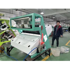Buy cheap Wenyao High Capacity Maize Wheat Horse Bean Broad Bean Color Picker Colour Sorter Machine from wholesalers