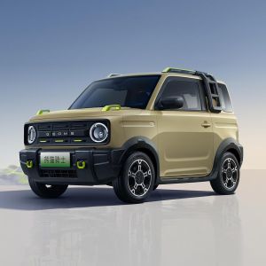 Buy cheap Pure Electric Geely Panda Mini EV 2024 200km Panda Knight from wholesalers