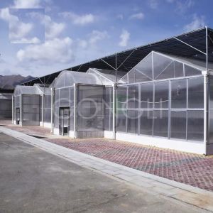 Buy cheap 8mm Polycarbonate Greenhouse Sheet Foldable Covering Multi Span 15x30 With Hydroponic System from wholesalers