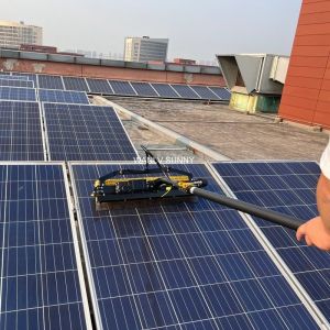 Window Cleaning Kit with Telescopic Pole and WLS-5 Window Washer Solar Panel