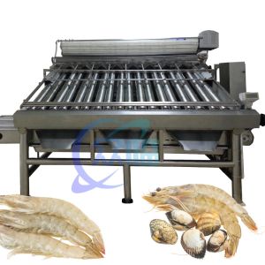 Buy cheap 380V 50Hz Shrimp Grading Machine Multifunctional For Prawn Sizing from wholesalers