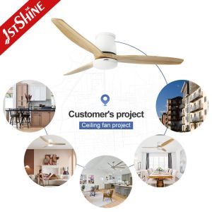 Led Fan Light With 3 Solid Wood Blade,Quite Dc Motor Kitchen Low Profile