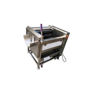 Powerful 300kgs/h Vegetable Washing Machine Yam Washing Machine