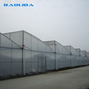 Buy cheap Vegetable Polyethylene Plastic Sheeting Greenhouse Galvanized Steel Frame product