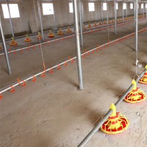Buy cheap Complete Auto Broiler Poultry Farm System For Chicken Water from wholesalers