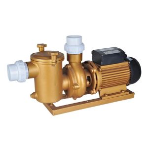 Buy cheap Swimming Pool Dedicated Copper Pump from wholesalers