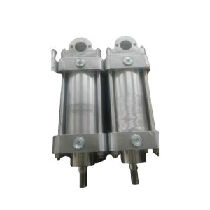 Stainless Steel Air Pneumatic Cylinder Acting Custom Standard