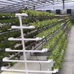 Buy cheap Vertical Nft Hydroponic Growing Channel Grow System For Lettuce Salad Vegetables product