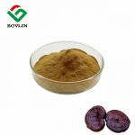 Buy cheap Broken Ganoderma Lucidum Spore Powder Polysaccharide 2.5% Triterpene 2% from wholesalers