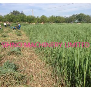 Buy cheap Hand Control Reaper & Binder Combine Harvester Mini Binder Reaper from wholesalers