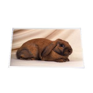 Buy cheap B140RW03 V1 14.0 inch 1600*900  LCD SCREEN PANEL from wholesalers