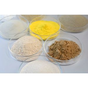 Pulping Enzyme Suitable For Papermaking And Pulping