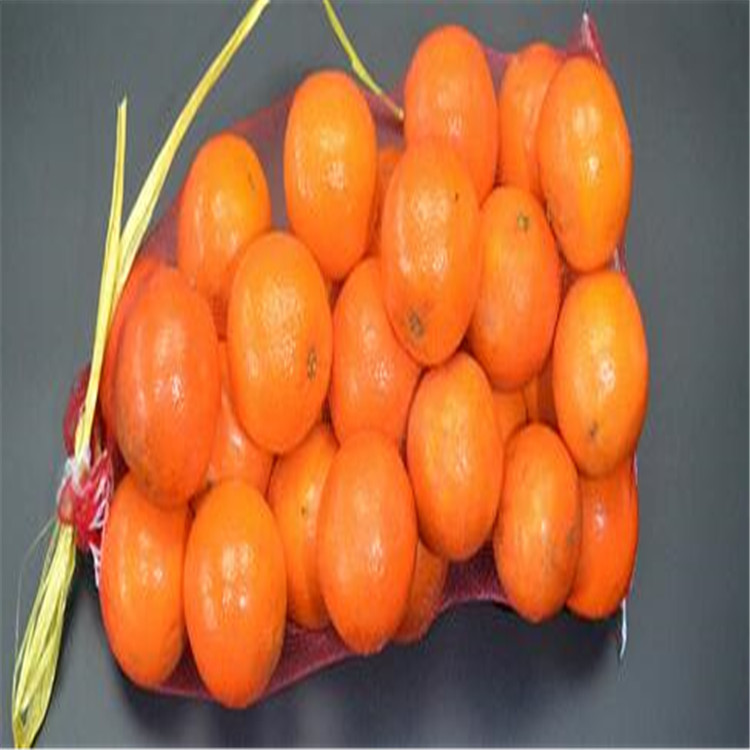 Convenient Tie String Recycled PE Monofilament Mesh Vegetable Bags for Fresh