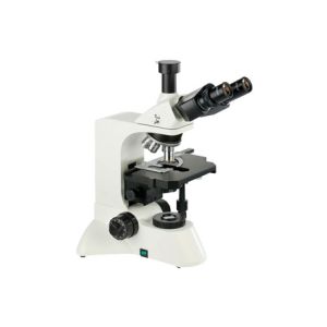 Buy cheap Optical Phase Constant Microscope Laboratory Dark Field 40X 1000X Magnification from wholesalers