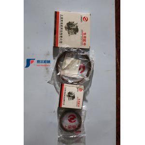 Buy cheap Authentic Shangchai SC8D190G2 Crankshaft Front Oil Seal D02B-104-02A+D from wholesalers