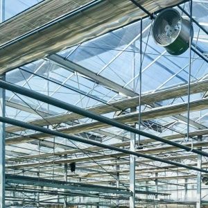 Buy cheap Double Layer Glass Greenhouse Hydroponic System with Multi-Span Technology Integration from wholesalers