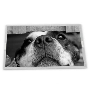 AA084XL03 Industrial Control Screen 8.4 TFT Display LCD Panel Good Quality