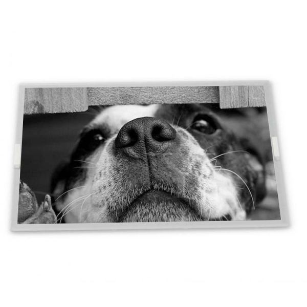 AA084XL03 Industrial Control Screen 8.4 TFT Display LCD Panel Good Quality