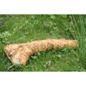 I.Q.F. Frozen Horseradish Dice Peeled, characteristic horseradish odor and taste