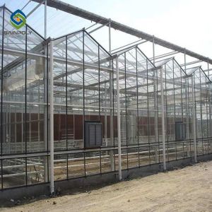 Buy cheap Agricultural 120km/H 12m 10.8m Glass Multi Span Greenhouse from wholesalers
