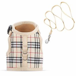 Buy cheap Adjustable Soft Mesh Cat Harness Vest And Leash Set Padded Lining Snug - Fit from wholesalers