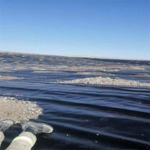 Buy cheap 1m-8m Width Hdpe Geomembrane Liners for Outdoor Desert Planting Environmentally Friendly from wholesalers