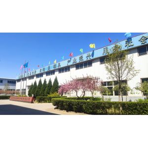 Customized Colors Custom Mold Plastic Injection Molding Service on Standard