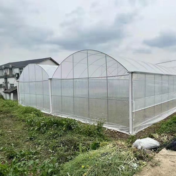 Buy cheap High Tunnel Multi Span Greenhouse Plastic PE Film For Strawberry from wholesalers