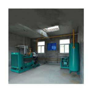 Effective And Biogas Purification Plant With Internal Treatment Anti Corrosion
