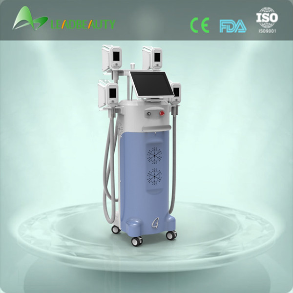 Buy cheap Perfect effect slimming machine cryolipolysis fat freezing equipment from wholesalers
