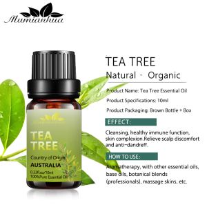 Skin Tea Tree Essential Oil 100% Pure Organic Essential Oil 1kg OEM / ODM