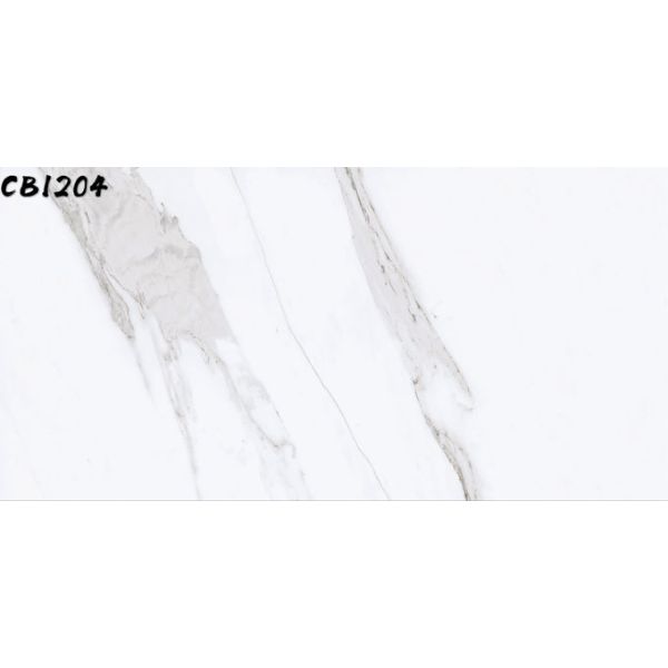 High Quality Carrara Floor Tile Matt Rustic Tile Full Body 600x1200mm (24x48")