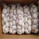 Buy cheap NORMAL WHITE GARLIC 1KG BAG 10 BAGS PER CARTON from wholesalers