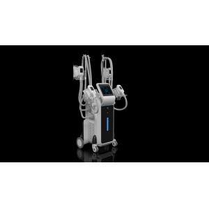 Buy cheap Criolipolisis machine freeze fat Cryolipolysis cool shaping body sculpting machine from wholesalers