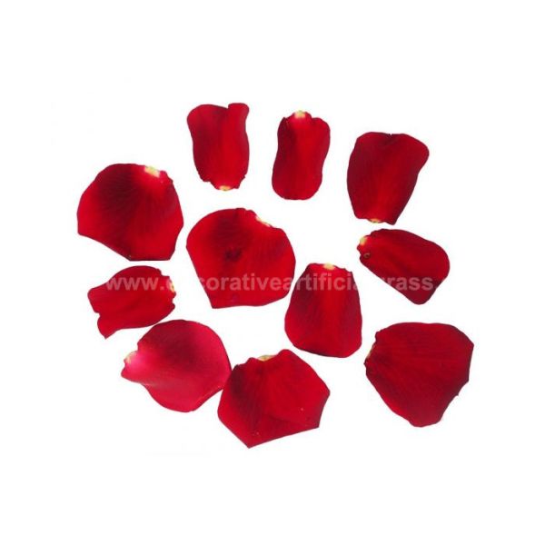 Quality Dried Red Rose Petals For DIY Projects Biodegradable Confetti for sale