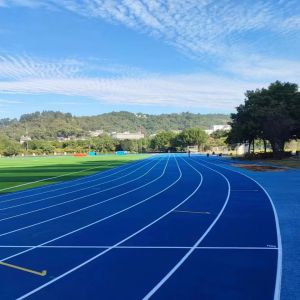 Buy cheap IAAF Approved Rubber Running Track with 9 - 15 mm Thickness and 10 - 15 Years Service Time from wholesalers