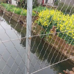 Buy cheap Wire Rope Plant Trellis System Stainless steel rope mesh from wholesalers