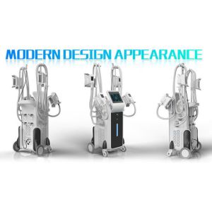 latest simultaneous working 4 habdles cryolipolysis body slimming machine